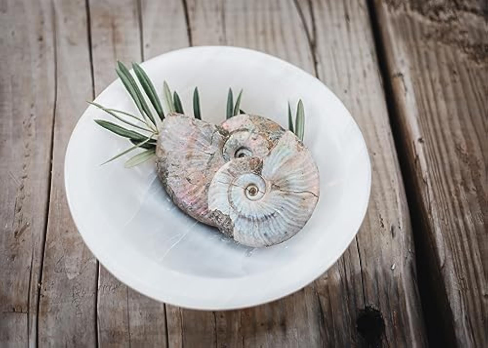 Selenite Decorative Crystal Bowl for Energy Cleansing